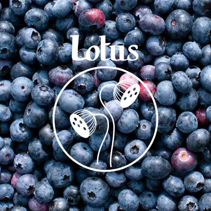lotus