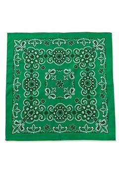 HAV A HANK/TEXAS & AUSTIN ペイズリーバンダナ