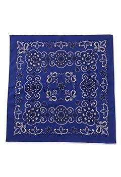 HAV A HANK/TEXAS & AUSTIN ペイズリーバンダナ