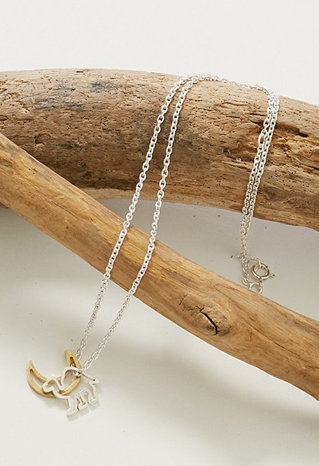 ライブ配信｜ハリウッドランチマーケット公式通販｜聖林公司オンライン