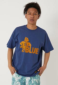 SOUTHERN MFG CO. BLUEBLUE イーグル USA Tシャツ