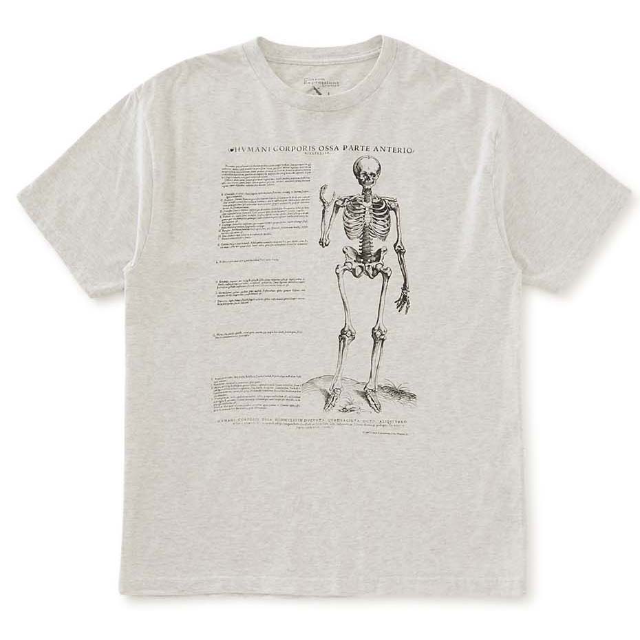 4-COTTON-4