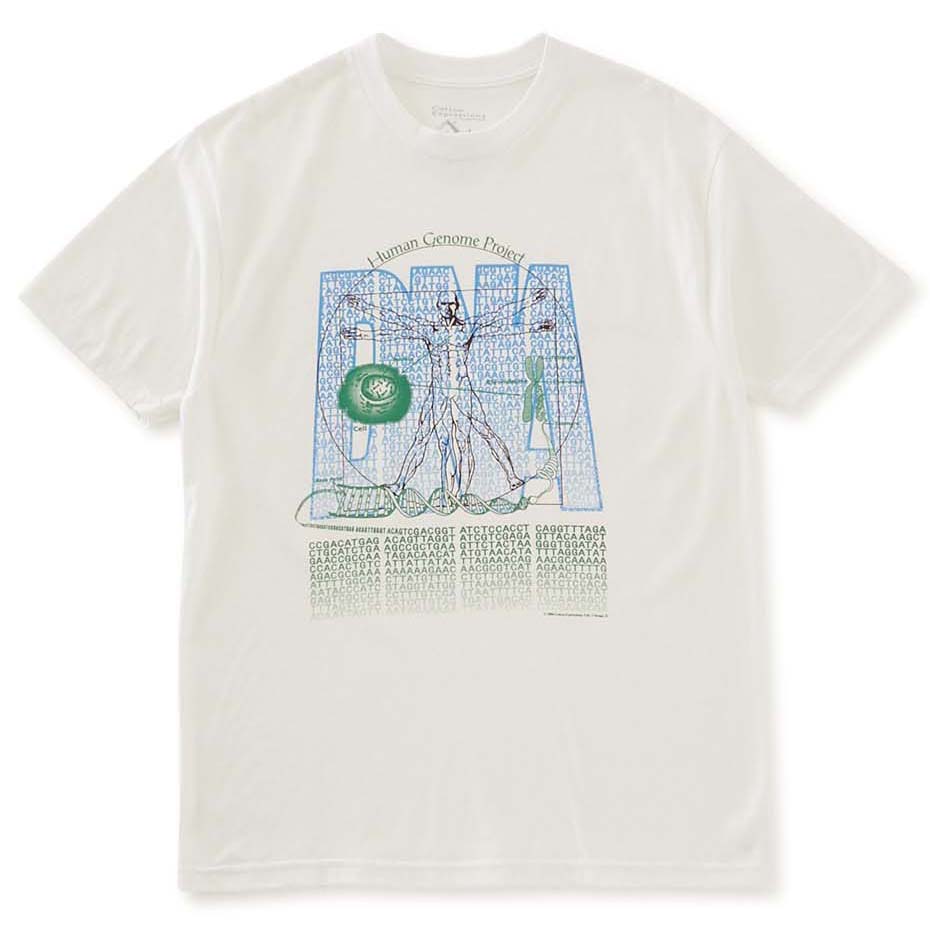 4-COTTON-1
