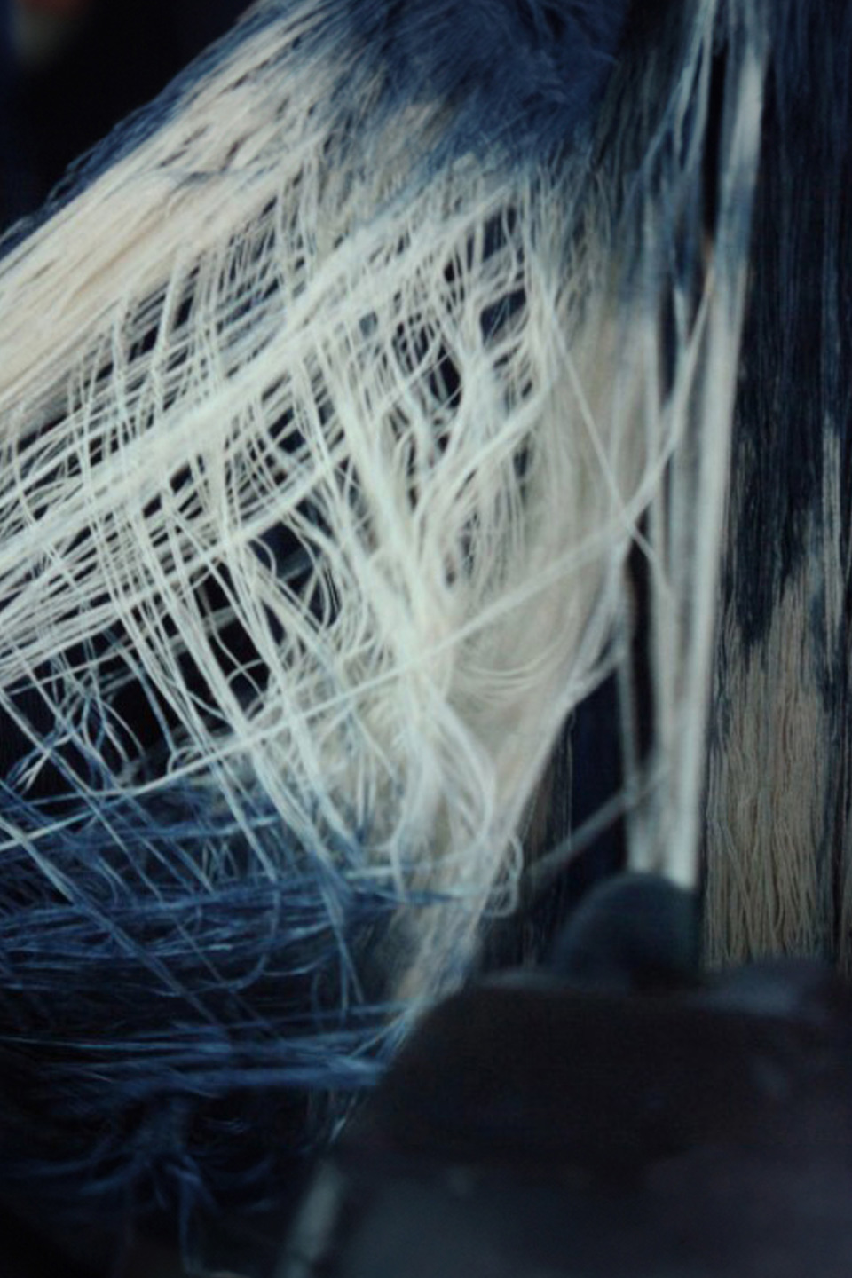 コツブサシコ オリエンタルシャツオール