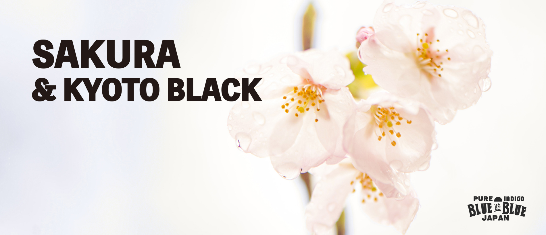 SAKURA＆KYOTO BLACK | BLUE BLUE JAPAN | ブルーブルージャパン | HOLLYWOOD RANCH MARKET | 聖林公司